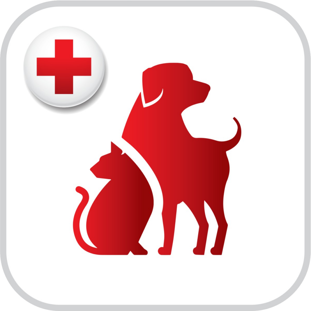 Cat & Dog First Aid Certified by the American Red Cross